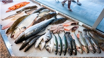 Die Preise für Fisch sind im letzten Jahr deutlich gestiegen.