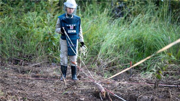 Schnupper-Ratten helfen Menschen retten Die Ratte Ronin wird an einer Leine geführt, während sie nach Minen sucht.