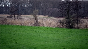 Die Rheinaue bei Meerbusch, wo vor 31 Jahren eine teilweise entkleidete Leiche einer 50-jährigen Frau gefunden wurde.