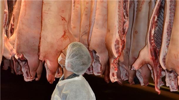 Die Schlachtbetriebe in Bremerhaven und Düring haben ihre Arbeitsschutz- und Hygienevorschriften noch weiter verschärft. (Symbolfoto)
