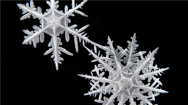Paar verewigt Schneeflocken aus Antarktis und Arktis Die Schneeflocken haben sehr unterschiedliche Strukturen.