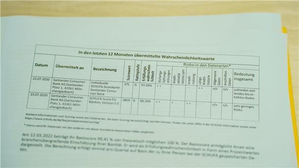 Die Schufa Holding AG ist eine privatwirtschaftliche Wirtschaftsauskunftei.