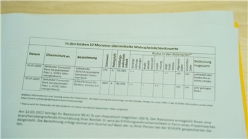 Die Schufa Holding AG ist eine privatwirtschaftliche Wirtschaftsauskunftei.
