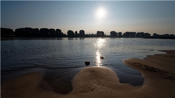 Die Sonne spiegelt sich auf dem Rhein bei Köln-Langel.