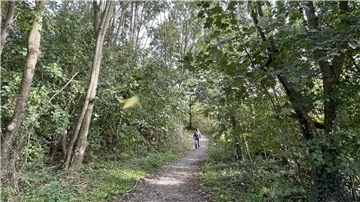 Die Stadt möchte in den Strandwald eine breite Schneise schlagen. Jogger, Nordic-Walker, Radfahrer und Spaziergänger, die dort regelmäßig unterwegs sind, bedauern das.