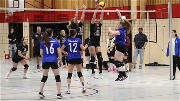 SV Nordenham in der Volleyball-Bezirksklasse der Damen
