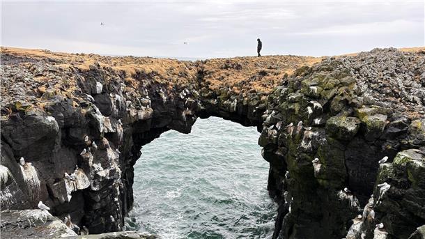 Zum Sterben schöne Fotos? Gefährliche Selfie-Hotspots Die Steinbrücke bei Arnarstapi auf der isländischen Halbinsel Snaefellsnes ist auch ein beliebtes Fotomotiv.