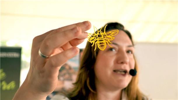 Arte-Reportage über „Valencias Honig-Königin“ Die Sterneköchin María José Martínez will Bienen vor dem Aussterben retten und setzt sich dafür auch während ihrer Kochshows ein.