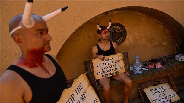 Die Stierhatz von Pamplona ist zunehmend umstritten.