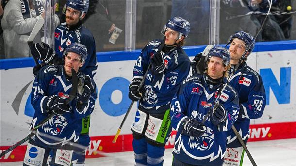 Ära zu Ende: Straubing Tigers trennen sich von Trainer Pokel Die Straubing Tigers kassierten zuletzt wiederholt Niederlagen.