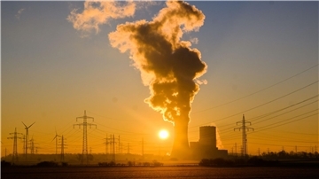 Die Stromerzeugung aus Stein- und Braunkohle hat im vergangenen Jahr den CO2-Ausstoß im Energiesektor steigen lassen.