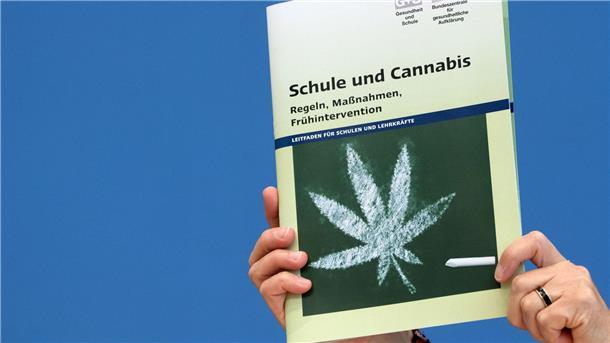 Lehrerverband warnt vor Risiken bei Cannabis-Konsum „Die Teillegalisierung vermittelt ein falsches Signal der Harmlosigkeit des Cannabis-Konsums“, sagt Stefan Düll.