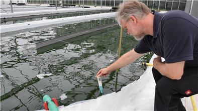 Die Temperatur des Wassers sollte in den Becken 25 bis 30 Grad betragen, um optimale Bedingungen für das Algen-Wachstum zu erreichen. Thermometer und pH-Wert-Messer sind wichtige Utensilien bei der Produktion.