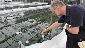 Die Temperatur des Wassers sollte in den Becken 25 bis 30 Grad betragen, um optimale Bedingungen für das Algen-Wachstum zu erreichen. Thermometer und pH-Wert-Messer sind wichtige Utensilien bei der Produktion.