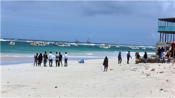 Die Terrororganisation Al-Shabaab hat an einem beliebten Strand in der Hauptstadt Mogadischu zugeschlagen.
