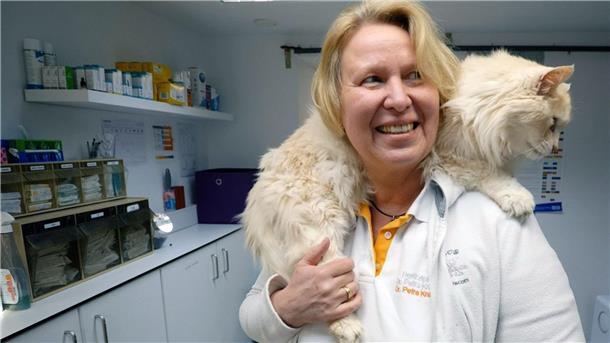 Bellen, Bisse, Burnout - das Gefühlsleben von Tierärzten Die Tierärztin Petra Kracher hat in ihrer Praxis in München eine Katze auf der Schulter.