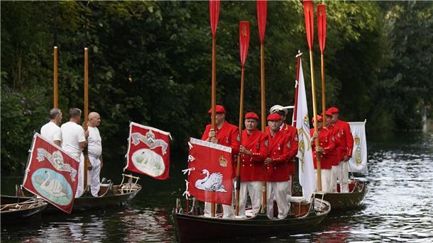 Die Tradition des „Swan Upping“ reicht mehrere Jahrhunderte zurück.