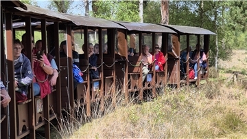 Die traditionelle Sternfahrt der Krebsfürsorge Bremervörde-Zeven führt in diesem Jahr ins Tister Bauernmoor.