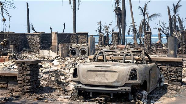 Die Trümmer des Waldbrandes in Lahaina.