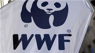 Die Umweltschutzorganisation WWF alarmiert wegen illegaler Fischerei.