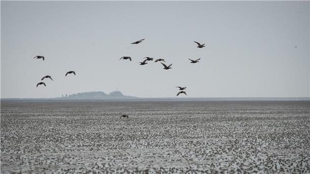 Unesco warnt vor Öl- und Gasförderung im Welterbe Wattenmeer Die UN-Kulturorganisation Unesco warnt vor Öl- und Gasförderung im Welterbe Wattenmeer.