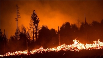 Die Waldbrandgefahr steigt mit dem Klimawandel, da Dürren häufiger werden. (Illustration)