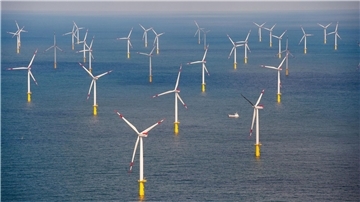 Die Windbranche freut sich über gute Ausbauzahlen.