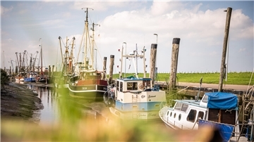 Wurster Nordseeküste