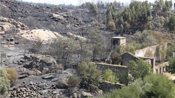 Bereits vier Tote bei Waldbränden in Portugal Die Zahl der Todesopfer der verheerenden Waldbrände ist in Portugal gestiegen. Historische Dörfer mussten evakuiert werden.