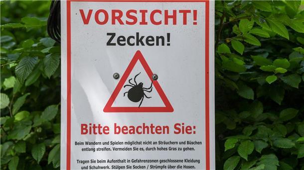 Zecken entdecken und taufen: Wie Sie zum Detektiv werden „Vorsicht! Zecken!“ steht auf einem Warnschild im Biosphärenreservat Schorfheide-Chorin.