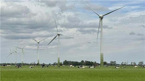 Die sechs jeweils 100 Meter hohen Anlagen des Windparks Butterburg bei Esenshamm