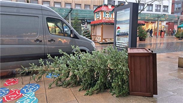DER ADVENTS-STURM (Update 50): Hochwasser hat Stadt und Land im Griff, Schäden auch in der Wesermarsch, Zugverkehr weiter gestört Diesen Tannenbaum hat der Wind umgepustet.