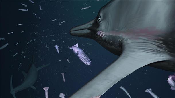 Leise jagen im Wasser Dieser Fischsaurier hatte spezielle Flossen, mit denen er leise jagen konnte.