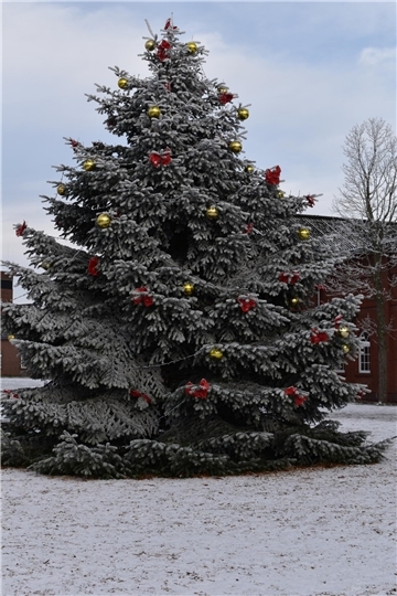 Dieser große Weihnachtsbaum auf dem Marktplatz in Rodenkirchen weist auf das Fest der Liebe hin. Ab 2023 soll es zu der Gelegenheit auch wieder Geschenke für Senioren geben.
