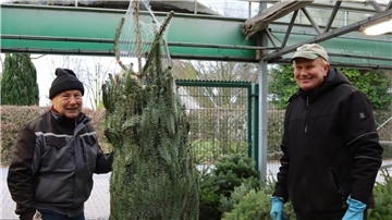 Zwei lächelnde Männer mit einem Weihnachtsbaum im Netz.