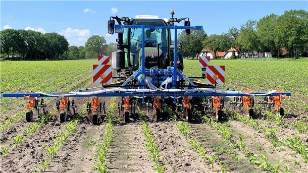 Dieses Foto entstand im Juni 2022 auf einem Feld in Wiefelstede: Mit einer sechs Meter breiten Hacke, im Frontanbau geschoben von einem Traktor, wurde dort Unkräutern wie Knöterich, Hirse und Melde entfernt.