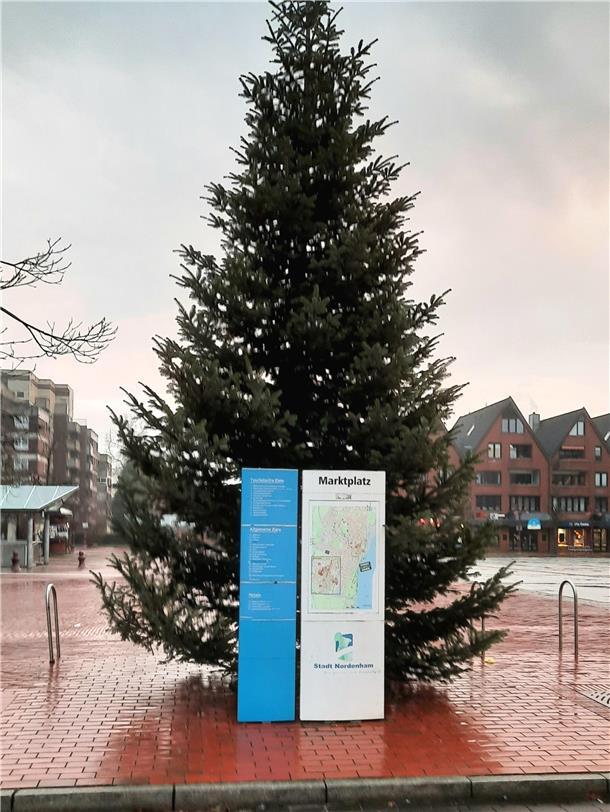 Tannen in der Stadt: In Nordenham ticken die Uhren anders Tanne