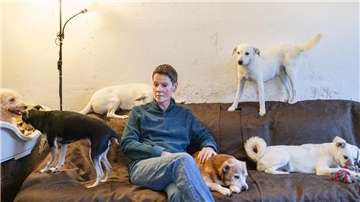 Eine Frau mit vielen Hunden im Wohnzimmer.