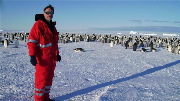 Mann im Schnee mit Pinguinen.