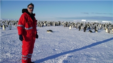 Mann im Schnee mit Pinguinen.