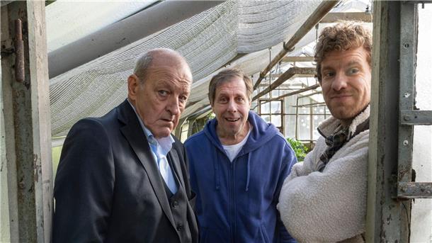 Krimi „Achtsam bis tödlich“: Glanzrolle für Oliver Korittke Drei mit Durchblick im Gewächshaus: Wilsberg (Leonard Lansink, l-r), Ekki (Oliver Korittke) und Mikka Lindental (Sebastian Weiss).