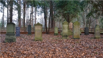 Dreizehn Grabsteine sind auf dem jüdischen Friedhof in der Kleinen Ahe in Zeven erhalten.