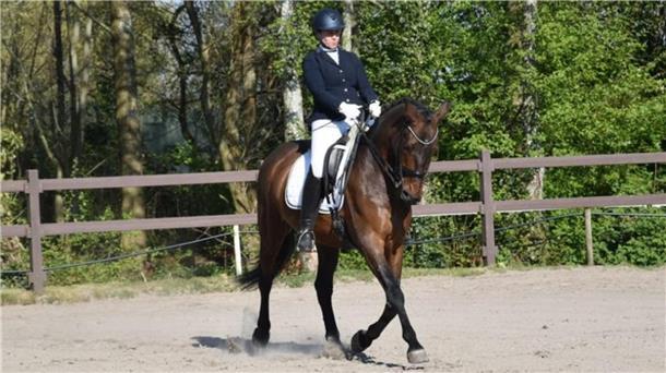 Reitturnier in Rodenkirchen