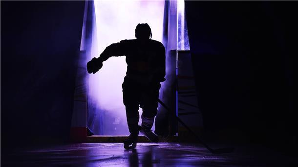 Düstere Aussichten für das deutsche Eishockey. Eine Insolvenzwelle droht.