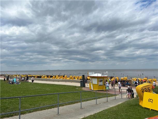 Duhner Wattrennen.