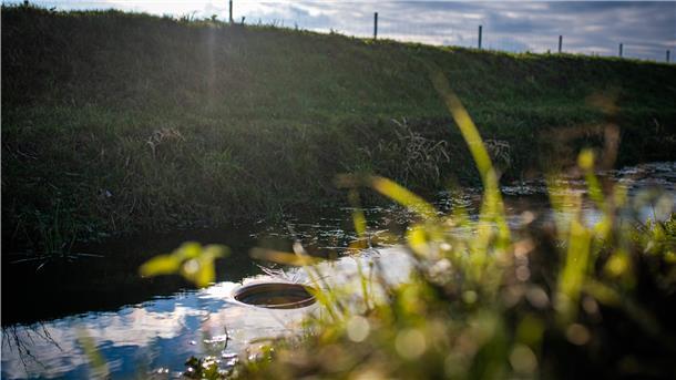 In drei Jahren wird Sturmflut-Abfall zu Dünger Durch dieses Rohr wird das Wasser aus dem Graben in das Reinigungsbecken gepumpt.