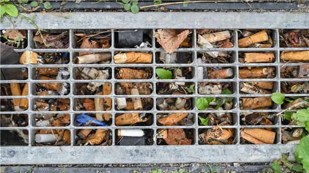 Wie Zigaretten die Umwelt belasten Durchschnittlich drei Zigaretten pro Quadratmeter fanden Forscher vor einigen Jahren in Berlin - das Maximum waren 49 pro Quadratmeter.