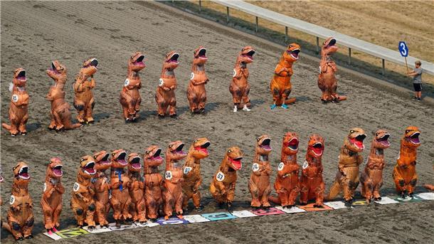 Dutzende von Teilnehmern in aufblasbaren T-Rex-Kostümen stellen sich für die ersten Läufe der T-Rex World Championship Races in Emerald Downs auf.
