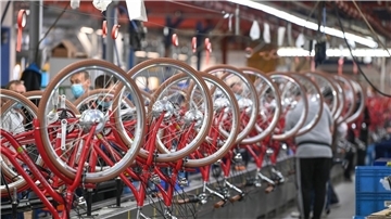 E-Bikes bescheren der Fahrradbranche auch nach der Pandemie gute Umsatzzahlen.