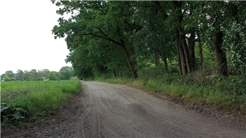 Egal wie schnell ein Fahrzeug auf dem Sandweg entlang des Campingplatzes in Düring fährt, bei der momentanen Trockenheit staubt es gewaltig und der Staub überzieht alles mit einem grauen Schleier.